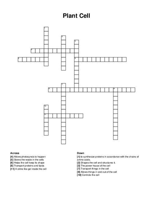 Plant Cell Crossword Puzzle
