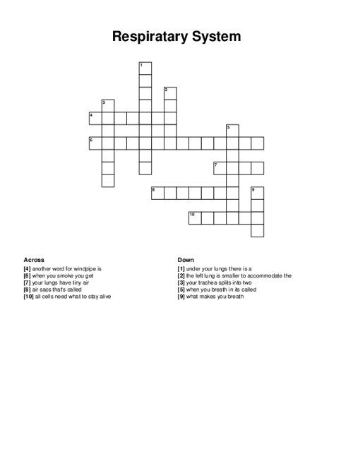 Respiratary System Crossword Puzzle