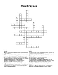 Plant Enzymes crossword puzzle