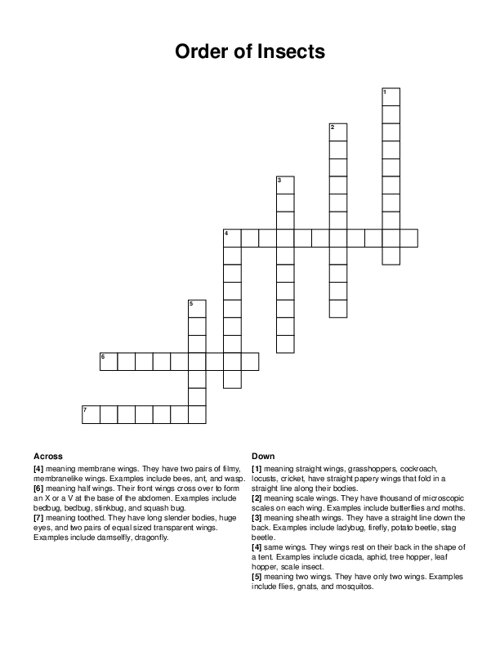 Order of Insects Crossword Puzzle