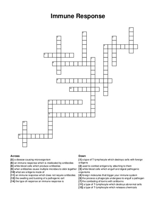 Immune Response Crossword Puzzle