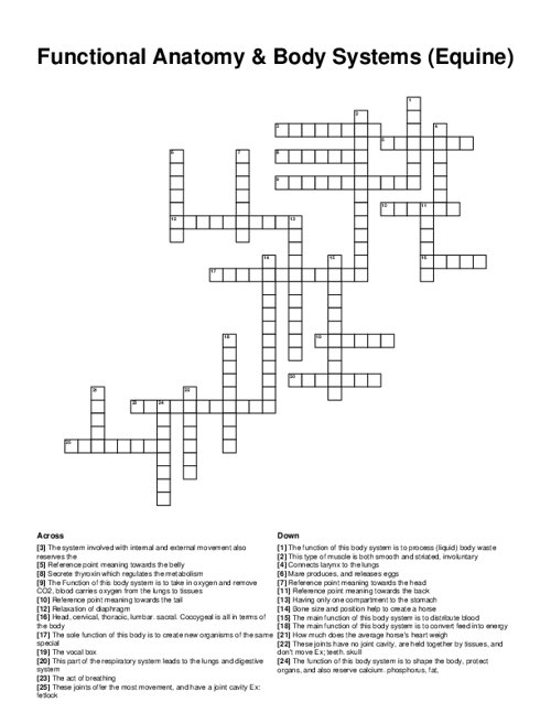 Functional Anatomy & Body Systems (Equine) Crossword Puzzle
