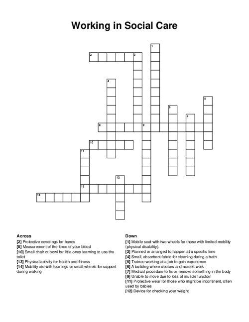 Working in Social Care Crossword Puzzle