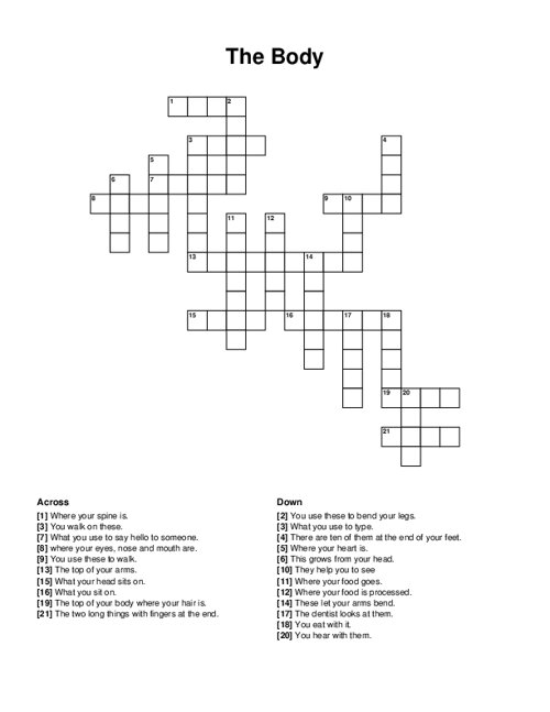 The Body Crossword Puzzle