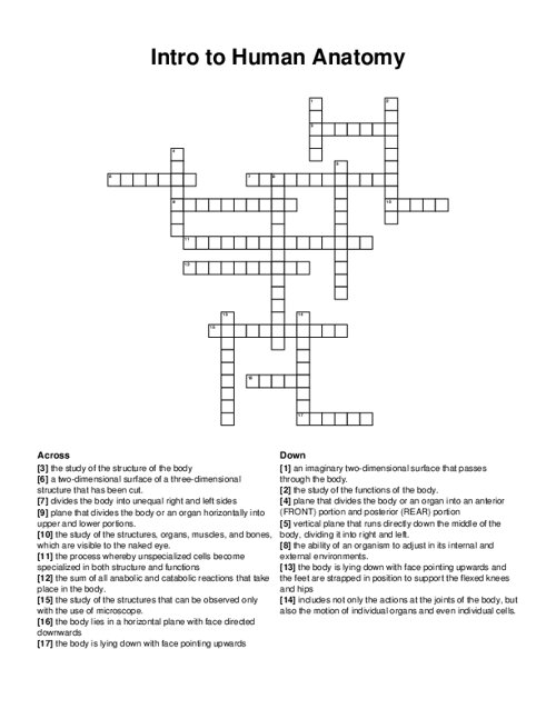 Intro to Human Anatomy Crossword Puzzle
