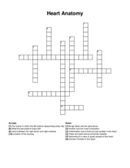 Heart Anatomy crossword puzzle