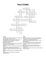 Plant STEMS crossword puzzle