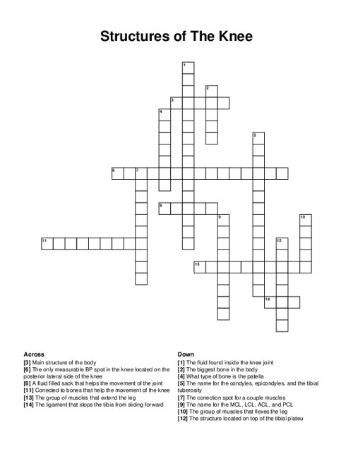 Structures of The Knee Crossword Puzzle