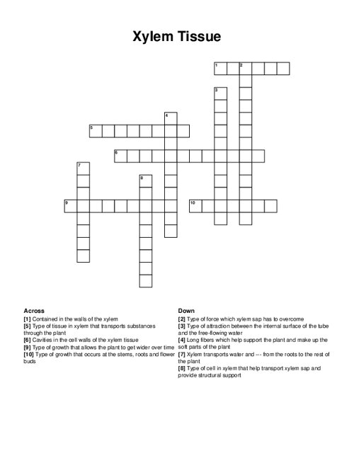 Xylem Tissue Crossword Puzzle