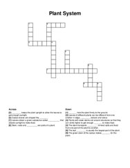 Plant System crossword puzzle