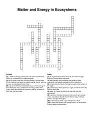 Matter and Energy in Ecosystems crossword puzzle