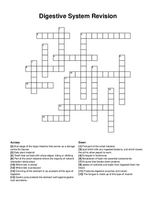 Digestive System Revision Crossword Puzzle