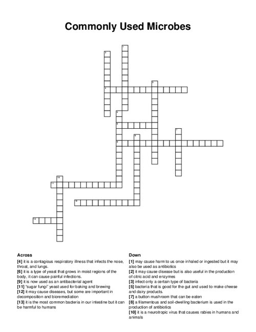 Commonly Used Microbes Crossword Puzzle