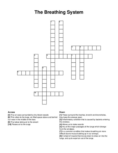 The Breathing System Crossword Puzzle