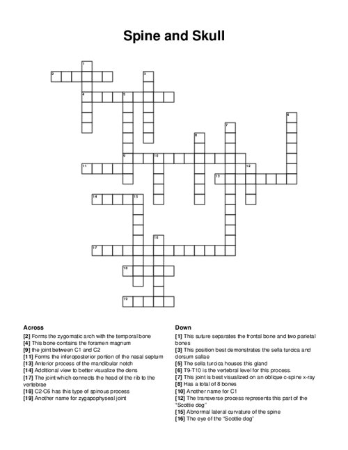 Spine and Skull Crossword Puzzle