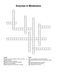 Enzymes in Metabolism crossword puzzle