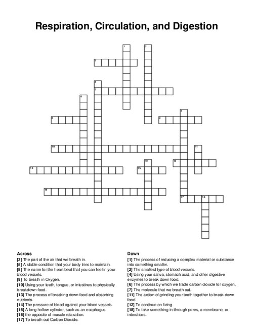 Respiration, Circulation, and Digestion Crossword Puzzle
