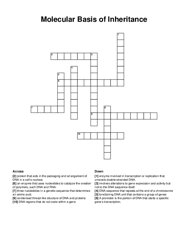 Molecular Basis of Inheritance crossword puzzle