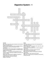 Digestive System - 1 crossword puzzle