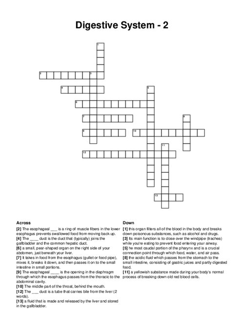 Digestive System - 2 Crossword Puzzle