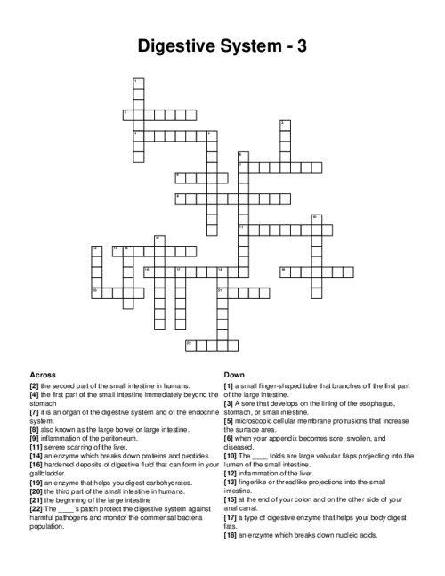 Digestive System - 3 Crossword Puzzle