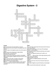 Digestive System - 3 crossword puzzle