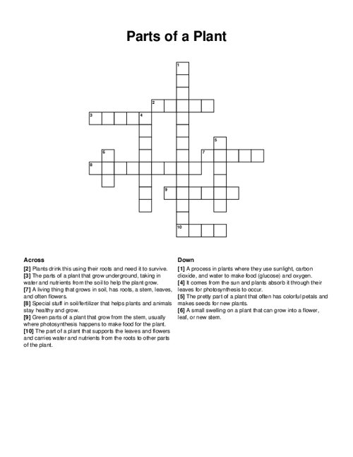 Parts of a Plant Crossword Puzzle