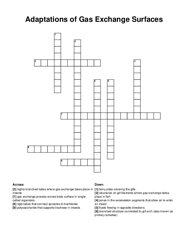 Adaptations of Gas Exchange Surfaces crossword puzzle