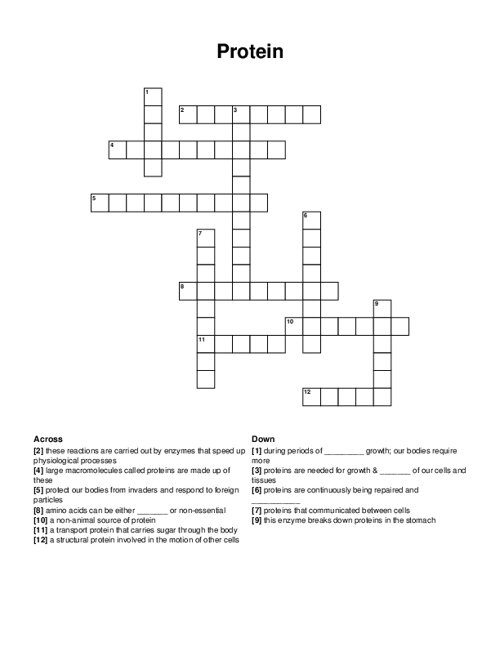 Protein Crossword Puzzle