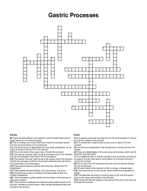 Gastric Processes Crossword Puzzle