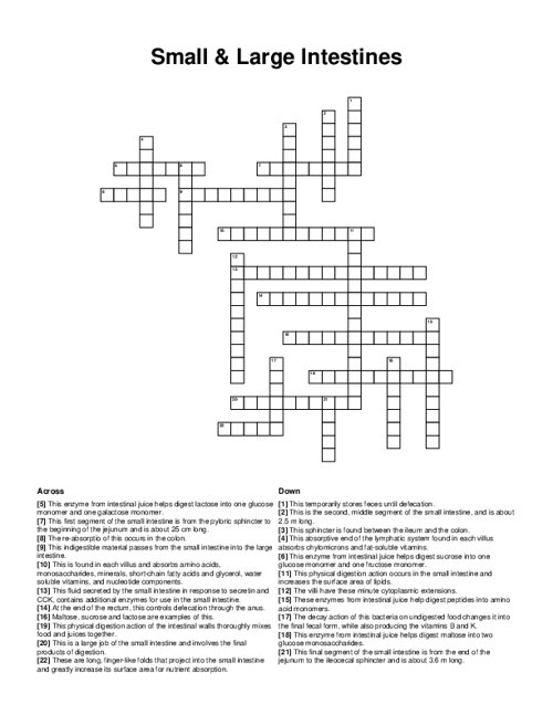 Small & Large Intestines Crossword Puzzle
