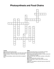 Photosynthesis and Food Chains crossword puzzle