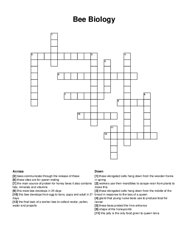 Bee Biology crossword puzzle