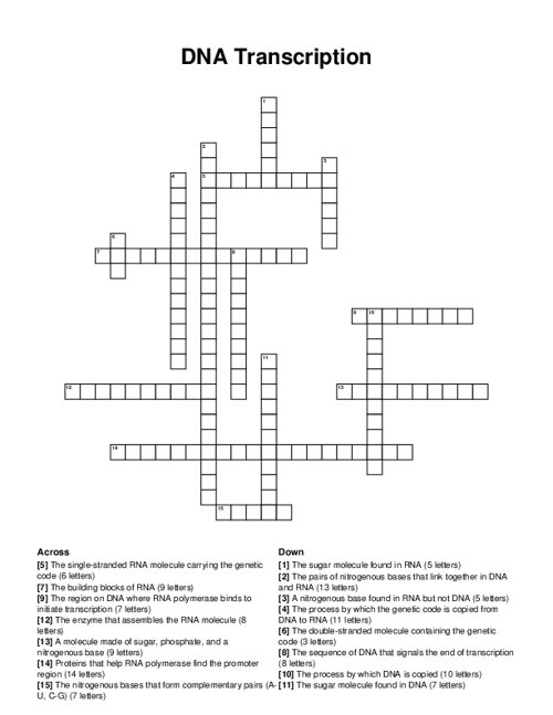 DNA Transcription Crossword Puzzle