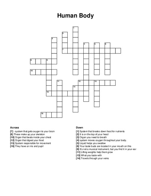 Human Body Crossword Puzzle