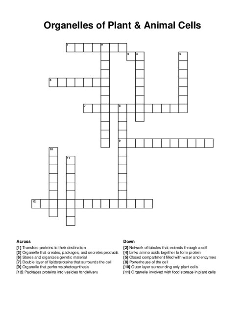 Organelles of Plant & Animal Cells Crossword Puzzle