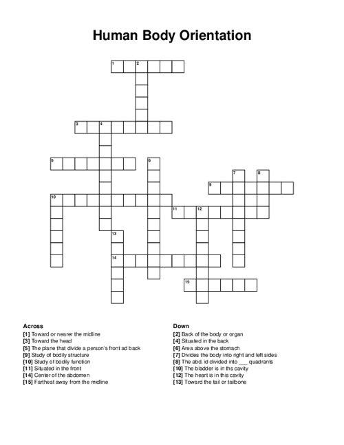 Human Body Orientation Crossword Puzzle