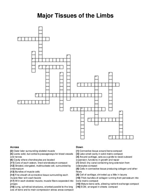 Major Tissues of the Limbs Crossword Puzzle