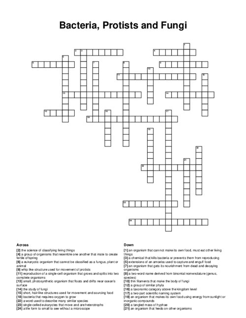 Bacteria, Protists and Fungi Crossword Puzzle