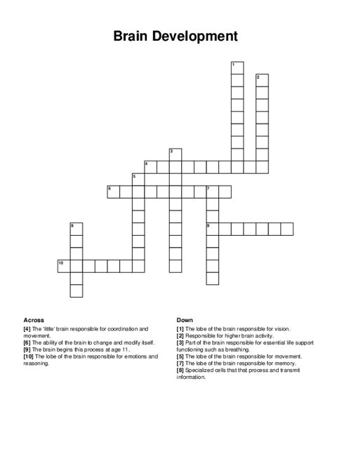 Brain Development Crossword Puzzle