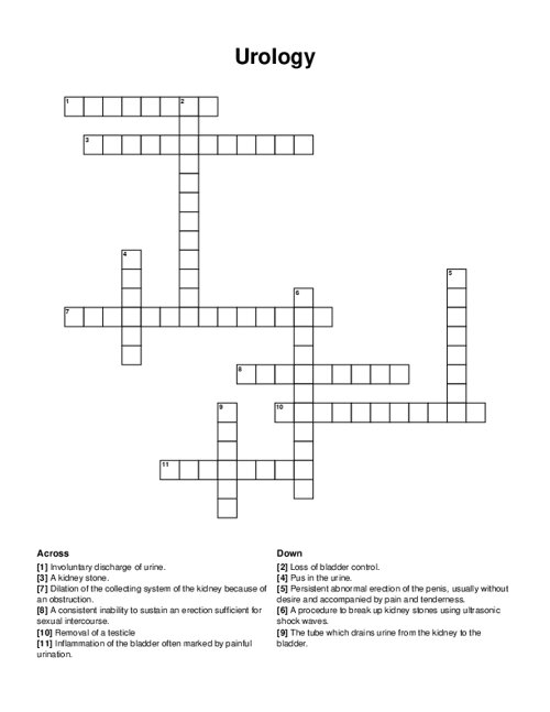 Urology Crossword Puzzle