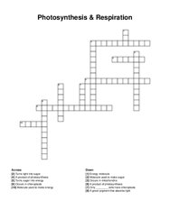 Photosynthesis & Respiration crossword puzzle