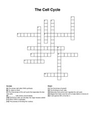 The Cell Cycle crossword puzzle