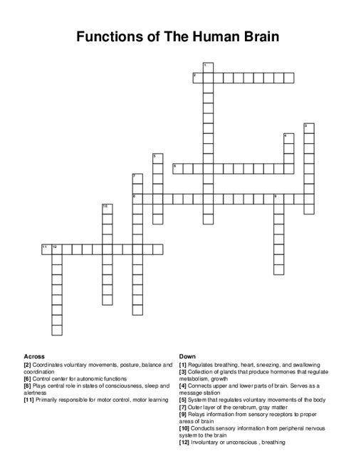 Functions of The Human Brain Crossword Puzzle
