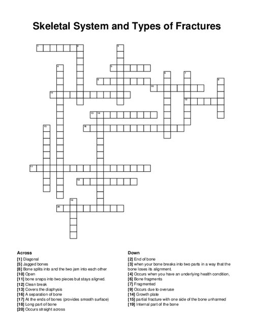 Skeletal System and Types of Fractures Crossword Puzzle