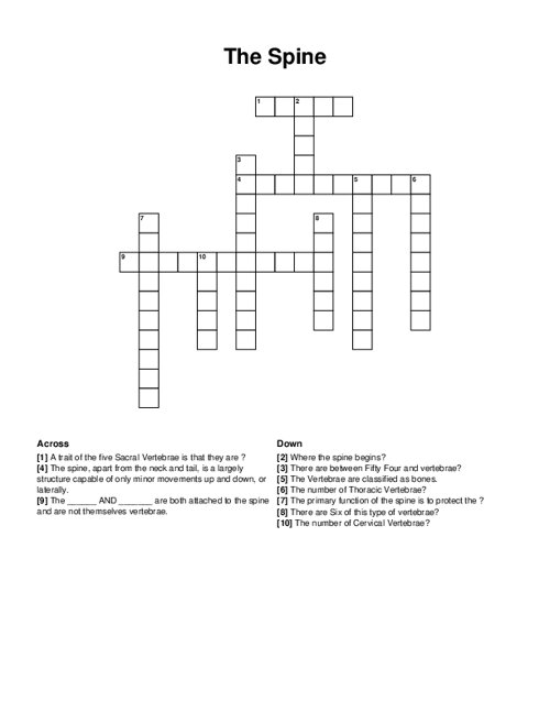 The Spine Crossword Puzzle