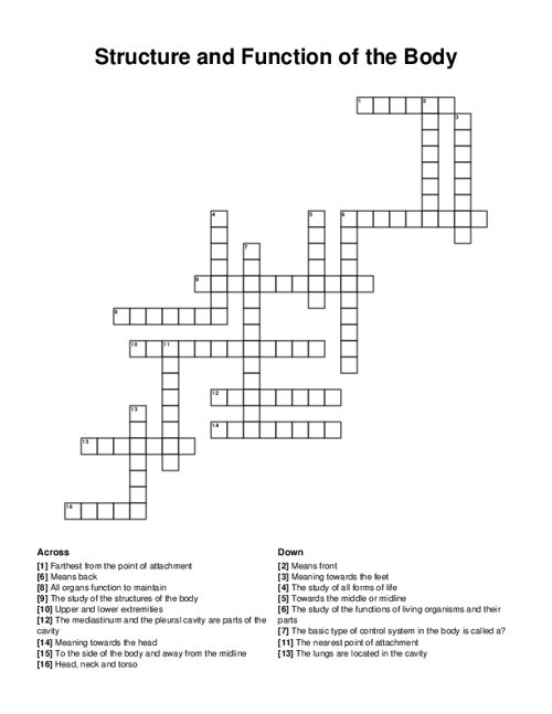 Structure and Function of the Body Crossword Puzzle