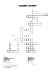 Skeletal Anatomy crossword puzzle