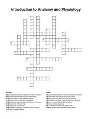 Introduction to Anatomy and Physiology crossword puzzle