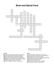 Brain and Spinal Cord crossword puzzle